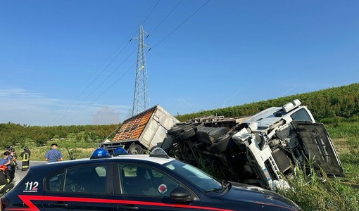 Autoarticolato carico di polli finisce fuori strada sulla provinciale tra Magliano Alfieri e Priocca Autoarticolato carico di polli finisce fuori strada sulla provinciale tra Magliano Alfieri e Priocca