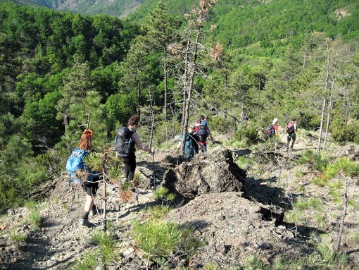 Studenti in cammino nella valle dell'Orba verso Orbicella (Al)