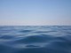 Tempo del Creato 2026 dal 1° settembre al 4 ottobre: Acqua viva Tempo del Creato 2026 dal 1° settembre al 4 ottobre: Acqua viva