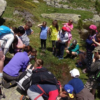 Saluzzo, il Parco del Monviso cerca un gestore per educazione ambientale e centri visita
