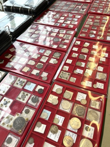 A Grugliasco "Molephil 2026": prima giornata per il convegno filatelico e numismatico