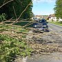 Vento forte con raffiche sino a 75 km/h in diverse zone della provincia. Numerosi gli interventi dei Vigili del fuoco per la caduta di alberi e rami Vento forte con raffiche sino a 75 km/h in diverse zone della provincia. Numerosi gli interventi dei Vigili del fuoco per la caduta di alberi e rami