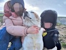 Ted, ucciso con una fucilata nelle campagne di Castellinaldo Ted, ucciso con una fucilata nelle campagne di Castellinaldo