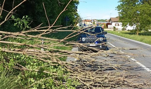 Vento forte con raffiche sino a 75 km/h in diverse zone della provincia. Numerosi gli interventi dei Vigili del fuoco per la caduta di alberi e rami