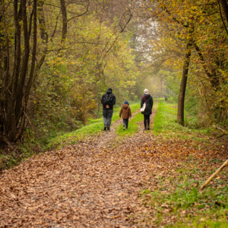 Immagine di repertorio