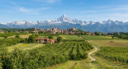 La Provincia di Cuneo mette in vendita un'area di oltre 3.000 metri quadrati vicino alla tangenziale est di Saluzzo