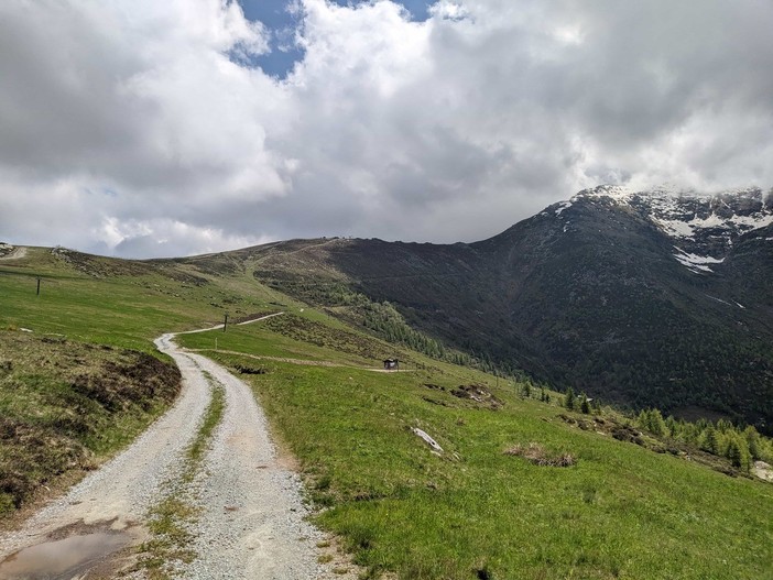 Pascoli e territorio: Bagnolo Piemonte vince la sfida dell'abbandono montano