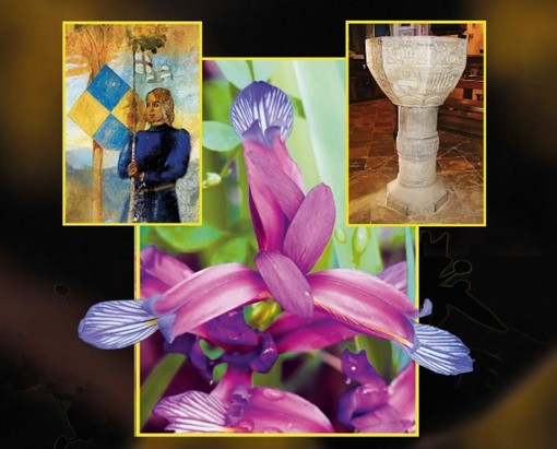 "Montemale in fiore": domenica 14 dicembre la presentazione del libro che racconta flora, paesaggi e leggende della valle Grana "Montemale in fiore": domenica 14 dicembre la presentazione del libro che racconta flora, paesaggi e leggende della valle Grana