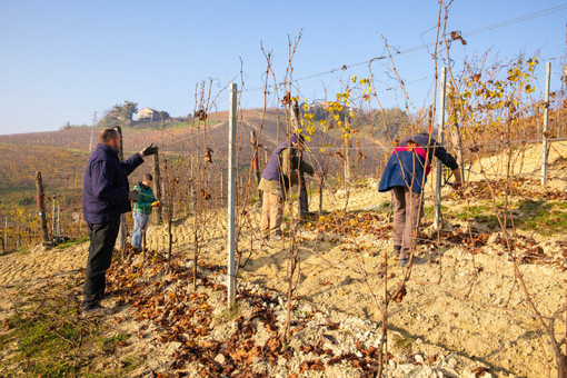 Il progetto “8Pari” della cooperativa sociale Progetto Emmaus è stato recentemente insignito a Roma del premio nazionale “Coltiviamo agricoltura sociale”