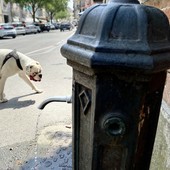 IL METEO / Ancora qualche giorno di caldo oltre la media. Da lunedì le temperature torneranno su valori normali IL METEO / Ancora qualche giorno di caldo oltre la media. Da lunedì le temperature torneranno su valori normali