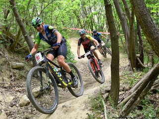 Alcuni scatti dalle passate edizioni della manifestazione (foto Roberta Baldo) Alcuni scatti dalle passate edizioni della manifestazione (foto Roberta Baldo)