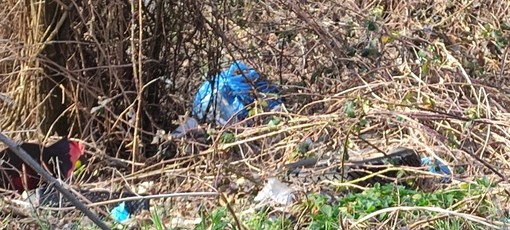"Raccolta porta a porta, ma i rifiuti finiscono ai bordi delle strade": la denuncia di un lettore sulla "discarica diffusa" [FOTO]