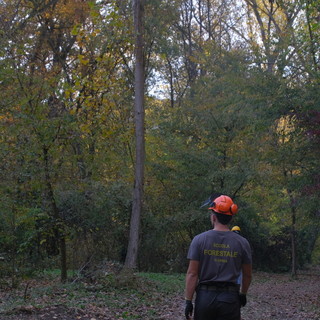 "Rigeneriamo la Bellezza": a Narzole riaprono i sentieri dell'eremita e le antiche strade romane