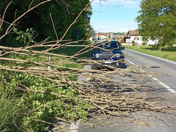 Vento forte con raffiche sino a 75 km/h in diverse zone della provincia. Numerosi gli interventi dei Vigili del fuoco per la caduta di alberi e rami