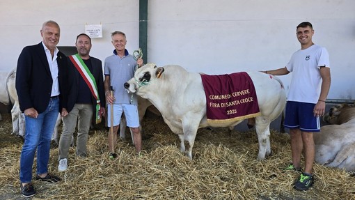 Il sindaco Corrado Marchisio con il senatore Giorgio Bergesio alla Fiera Bovina Il sindaco Corrado Marchisio con il senatore Giorgio Bergesio alla Fiera Bovina