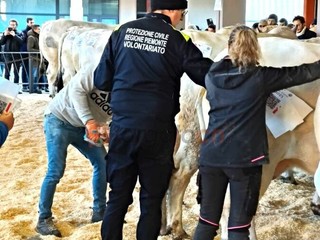 Il paese torna a essere capitale della zootecnia piemontese e custode di un’eredità che non smette di affascinare Il paese torna a essere capitale della zootecnia piemontese e custode di un’eredità che non smette di affascinare