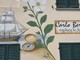 A Santa Vittoria d’Alba il botanico Bertero diventa "street art" A Santa Vittoria d’Alba il botanico Bertero diventa "street art"