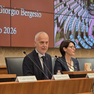 L'intervento del senatore Giorgio Maria Bergesio L'intervento del senatore Giorgio Maria Bergesio