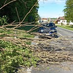 Vento forte con raffiche sino a 75 km/h in diverse zone della provincia. Numerosi gli interventi dei Vigili del fuoco per la caduta di alberi e rami