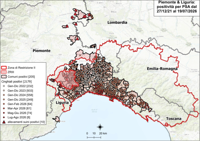 Peste suina africana: nessun nuovo caso in Piemonte, due in Liguria Peste suina africana: nessun nuovo caso in Piemonte, due in Liguria