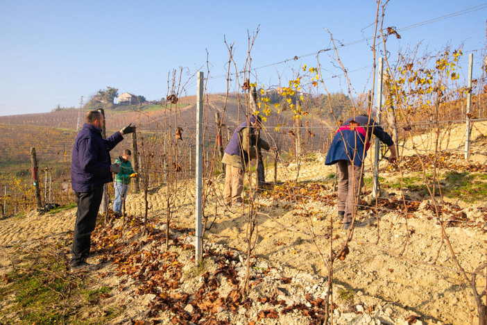 Il progetto “8Pari” della cooperativa sociale Progetto Emmaus è stato recentemente insignito a Roma del premio nazionale “Coltiviamo agricoltura sociale”