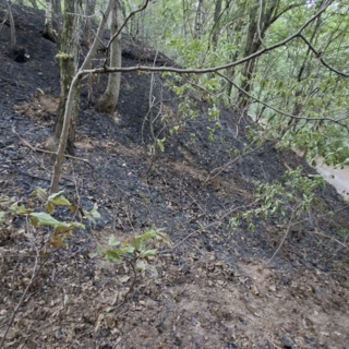 Denunciato volontario Aib: è ritenuto responsabile di nove incendi boschivi dolosi appiccati tra Monregalese e Valle Pesio