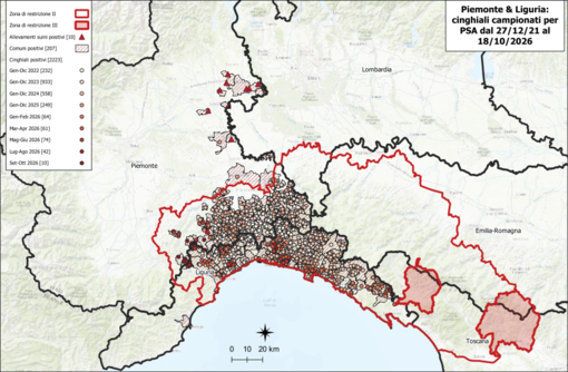 Peste suina africana: a Camerana e Cengio i nuovi casi nelle province di Cuneo e Savona Peste suina africana: a Camerana e Cengio i nuovi casi nelle province di Cuneo e Savona