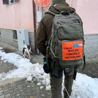Gatto avvelenato a Vignolo: Polizia Locale fa scattare la bonifica del territorio con l'unità cinofila antiveleno dell'Ente Aree Protette Alpi Marittime