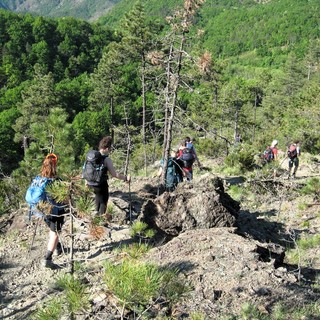 Studenti in cammino nella valle dell'Orba verso Orbicella (Al) Studenti in cammino nella valle dell'Orba verso Orbicella (Al)