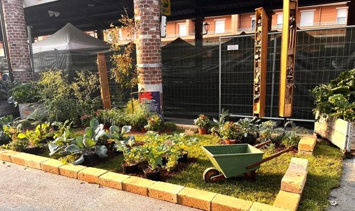 Fossano: aperte le iscrizioni per la mostra ortofrutticola gastronomica “Coloratissimo autunno” dell’11 e 12 ottobre