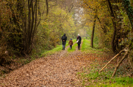 Immagine di repertorio