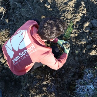Nasce il Bosco delle Green School: 122 alberi piantati a Serravalle Langhe, uno per ogni scuola