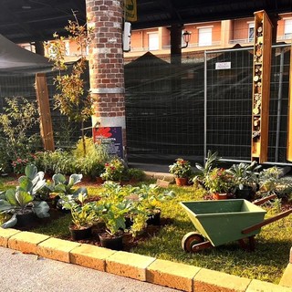 Fossano: aperte le iscrizioni per la mostra ortofrutticola gastronomica “Coloratissimo autunno” dell’11 e 12 ottobre Fossano: aperte le iscrizioni per la mostra ortofrutticola gastronomica “Coloratissimo autunno” dell’11 e 12 ottobre