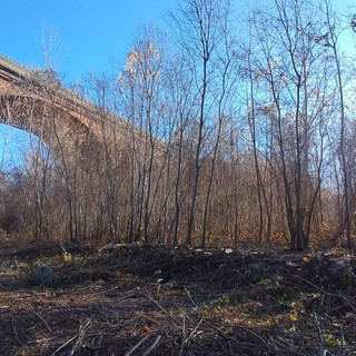 Pulito un tratto dell’alveo dello Stura: un intervento per la sicurezza e la tutela del Parco