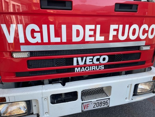 Immagini d'archivio