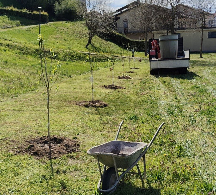 Nuova linfa verde a Trinità in via Marconi e al parco Allea Nuova linfa verde a Trinità in via Marconi e al parco Allea
