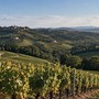 Turismo del vino, tabUi tra i tre progetti più innovativi d’Europa secondo Un Tourism Turismo del vino, tabUi tra i tre progetti più innovativi d’Europa secondo Un Tourism
