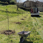 Nuova linfa verde a Trinità in via Marconi e al parco Allea Nuova linfa verde a Trinità in via Marconi e al parco Allea