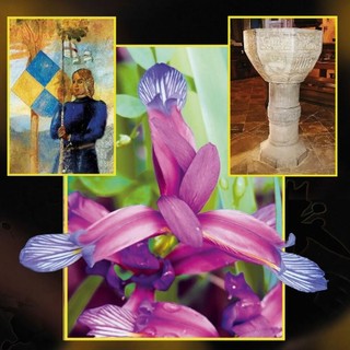 &quot;Montemale in fiore&quot;: domenica 14 dicembre la presentazione del libro che racconta flora, paesaggi e leggende della valle Grana