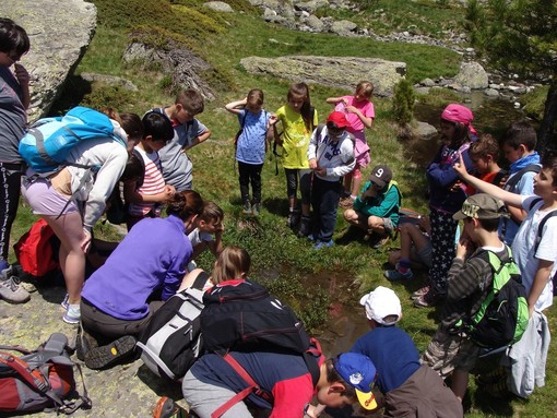 Saluzzo, il Parco del Monviso cerca un gestore per educazione ambientale e centri visita