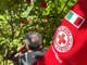 A Cuneo inizia il corso per diventare volontario della Croce Rossa Italiana A Cuneo inizia il corso per diventare volontario della Croce Rossa Italiana