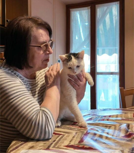 Fermo immagine dal video di Amici dei mici Odv