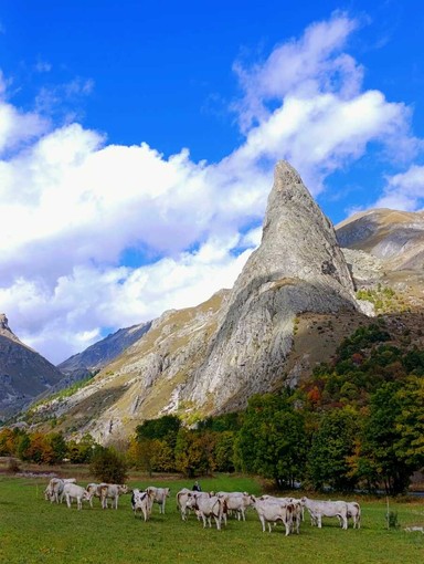 Con la miglior ambientazione, la fotografia “Meeting alla Rocca Provenzale&quot; è la vincitrice assoluta del 24° Concorso Fotografico “La mia Piemontese”