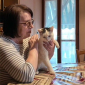 Fermo immagine dal video di Amici dei mici Odv