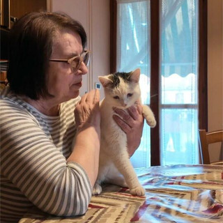 Fermo immagine dal video di Amici dei mici Odv