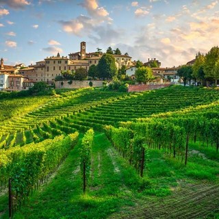 A Neive un  progetto per una nuova palestra nel centro sportivo: "Uno spazio anche per l'Arte Bianca"