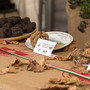Il Centro Nazionale Studi Tartufo collaborerà con La Fiera Internazionale del tartufo bianco di Morisengo (credito Debora Lombardi) Il Centro Nazionale Studi Tartufo collaborerà con La Fiera Internazionale del tartufo bianco di Morisengo (credito Debora Lombardi)