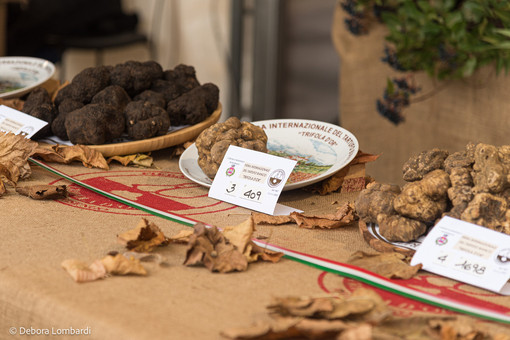 Il Centro Nazionale Studi Tartufo collaborerà con La Fiera Internazionale del tartufo bianco di Morisengo (credito Debora Lombardi)