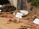 Il Centro Nazionale Studi Tartufo collaborerà con La Fiera Internazionale del tartufo bianco di Morisengo (credito Debora Lombardi) Il Centro Nazionale Studi Tartufo collaborerà con La Fiera Internazionale del tartufo bianco di Morisengo (credito Debora Lombardi)