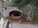 Un enorme albero cade sulla strada tra Fontan e St Dalmas de Tende: circolazione sospesa